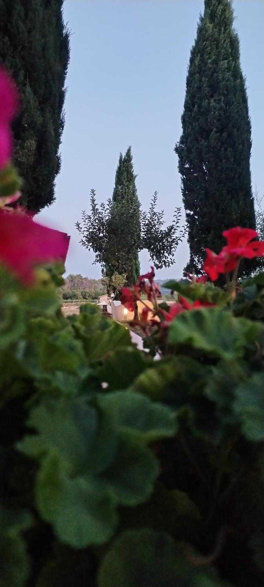 I Salici Agriturismo Badia Agnano Buitenkant foto