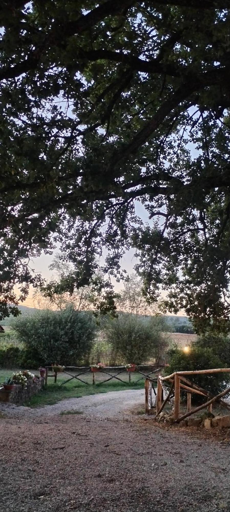 I Salici Agriturismo Badia Agnano Buitenkant foto