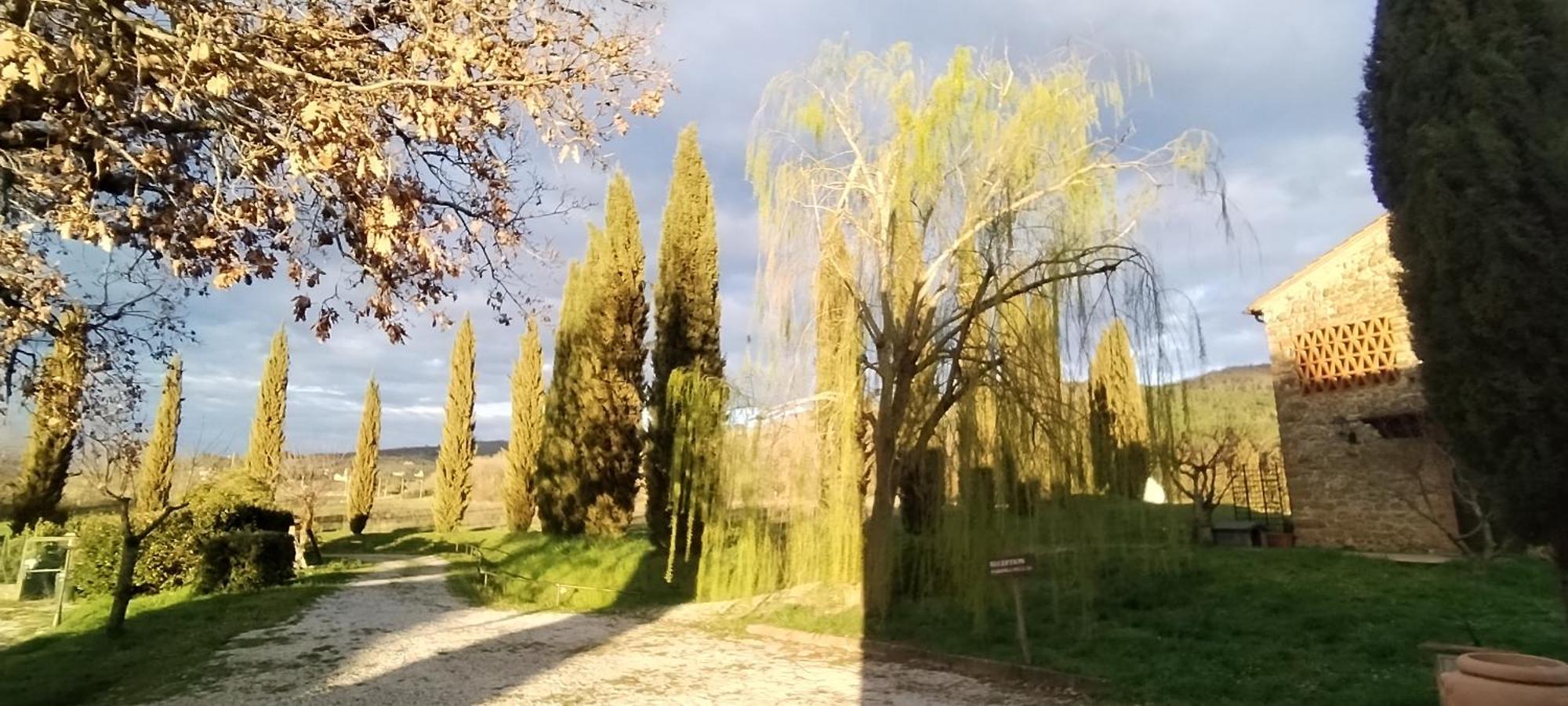 I Salici Agriturismo Badia Agnano Buitenkant foto